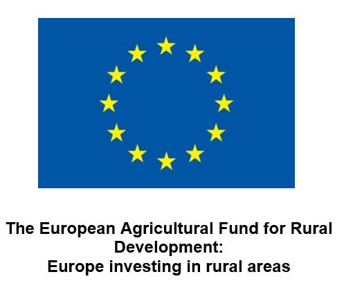 EU Logo